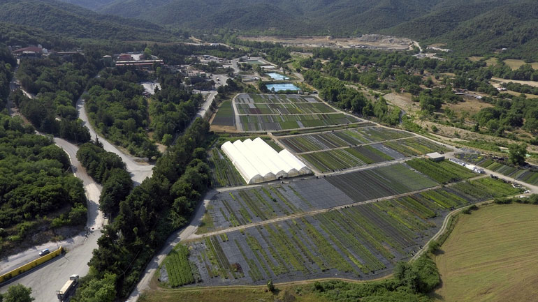 Σημαντικός παράγοντας για την ελληνική και τοπική οικονομία η Ελληνικός Χρυσός