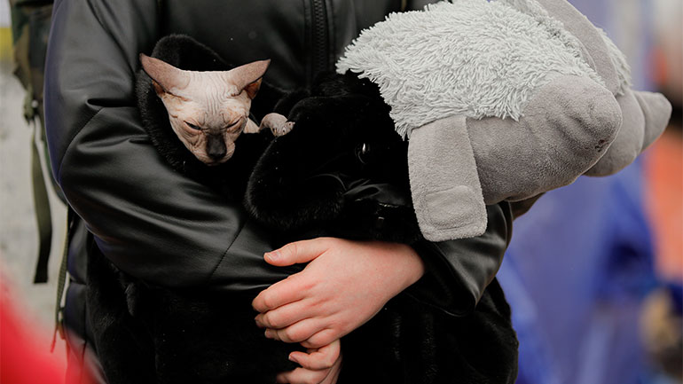 Ουκρανία: Συγκλονιστικές εικόνες από τον φακό του φωτορεπόρτερ του AFP Άρη Μεσσήνη