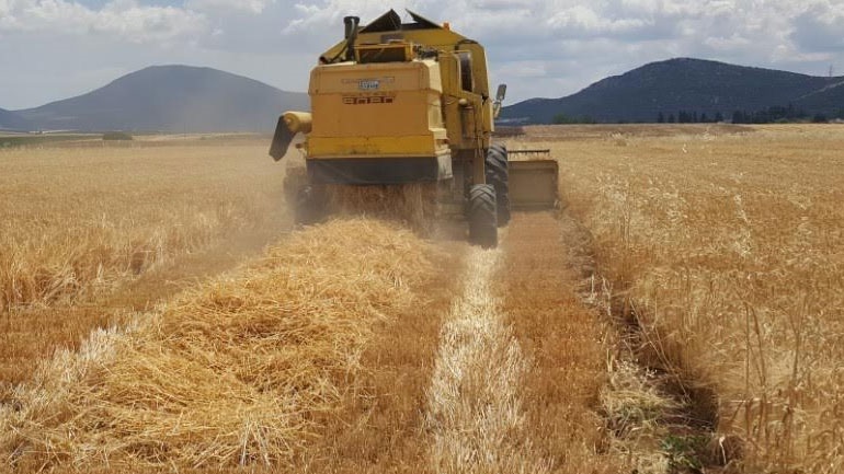 Ουκρανία: Επέβαλε περιορισμούς στις εξαγωγές κάποιων γεωργικών προϊόντων