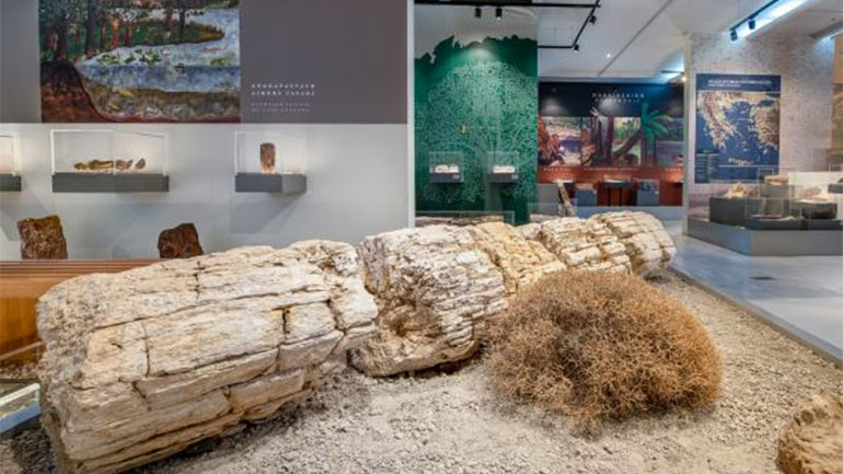 Βιωματικές εκπαιδευτικές δράσεις στο Μουσείο Φυσικής Ιστορίας Απολιθωμένου Δάσους Λέσβου