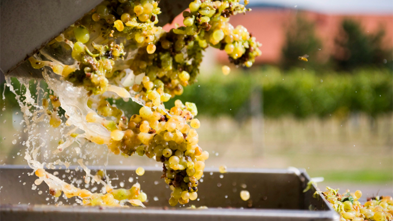 Γερμανία: Ψηφιακή σύνοδος των υπουργών Γεωργίας της G7 για τον αντίκτυπο της εισβολής στις αγορές τροφίμων