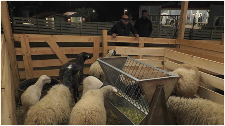 ΑΣΥΛΛΗΠΤΗ ΑΠΟΔΡΑΣΗ: Κατσίκα στη «Φάρμα» ντροπιάζει τον Εσκομπάρ και τον «Ελ Τσάπο»