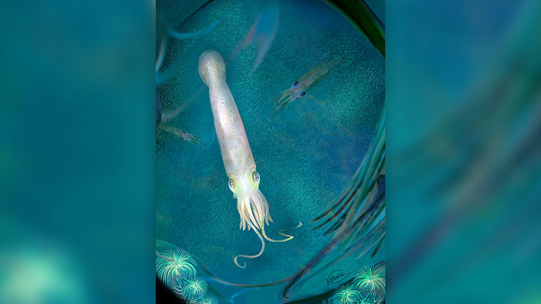 Πρόγονος του χταποδιού, «βαμπιρόποδο» με δέκα πλοκάμια βαφτίστηκε Μπάιντεν!