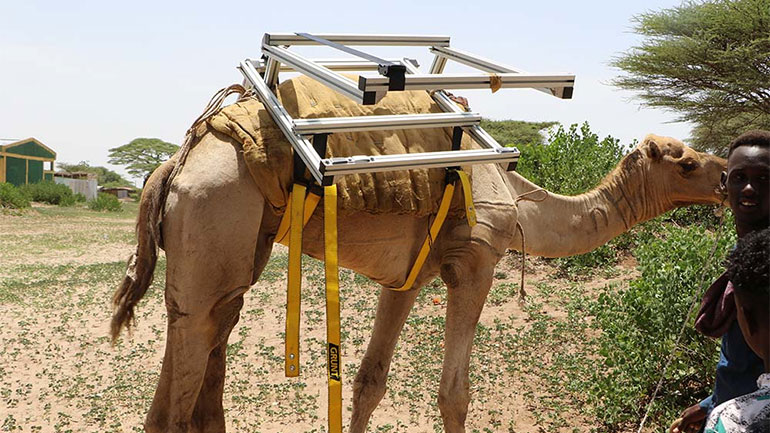 «Ηλιακές καμήλες» φέρνουν ebooks σε παιδιά στην Αιθιοπία