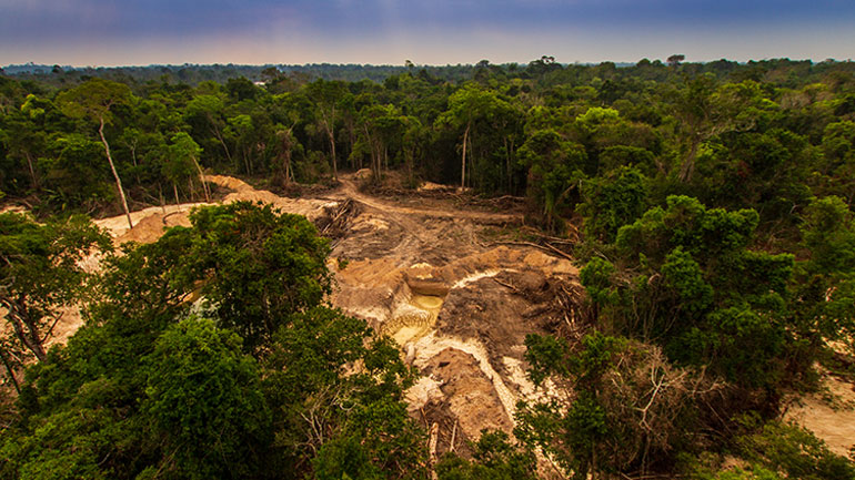 Το τροπικό δάσος του Αμαζονίου οδεύει προς το «σημείο καμπής», σύμφωνα με δορυφορικές εικόνες