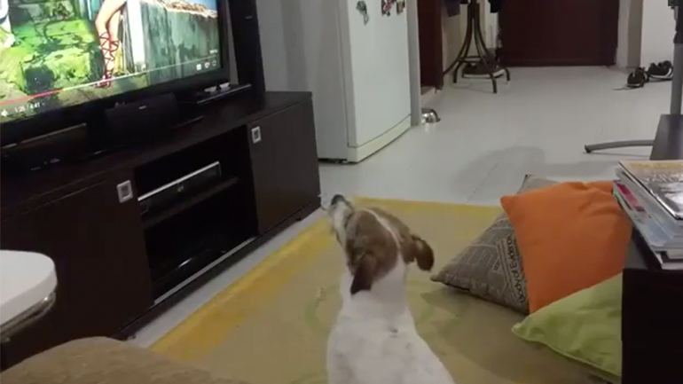 Ο σκύλος θέλει να ακούει το Despacito