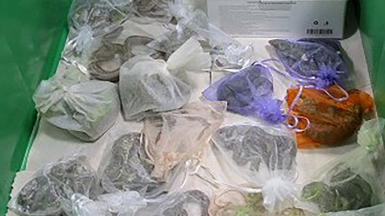 ΗΠΑ: Λαθρέμπορος εξωτικών ειδών είχε κρύψει στο παντελόνι του 52 ζωντανά φίδια και σαύρες