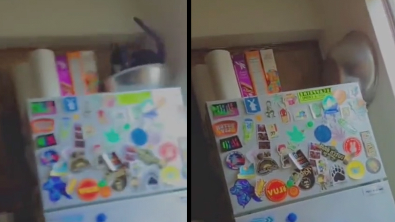 Γάτα εναντίον μπολ