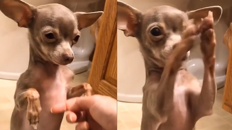 Μην σταματάς!