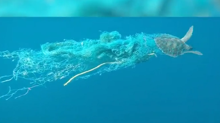 Τουρίστας απεγκλωβίζει χελώνα από δίχτυ ψαρέματος