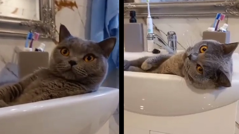 Δεν πιστεύω να ενοχλώ εδώ;