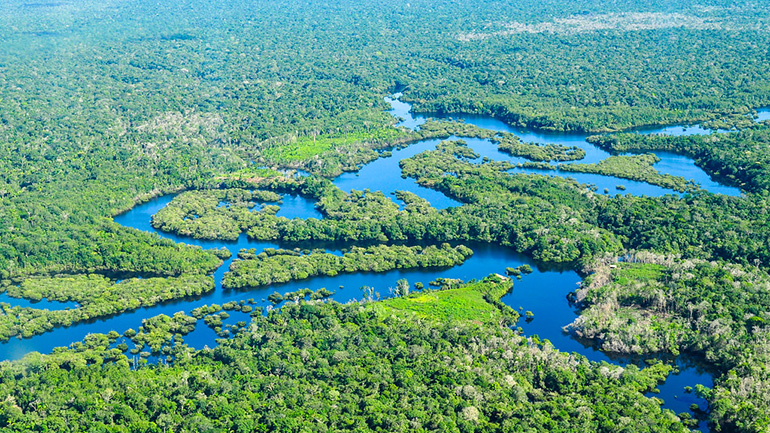 Δύο αγόρια βρέθηκαν έπειτα από 25 μέρες που παρέμεναν χαμένα στη ζούγκλα του Αμαζονίου