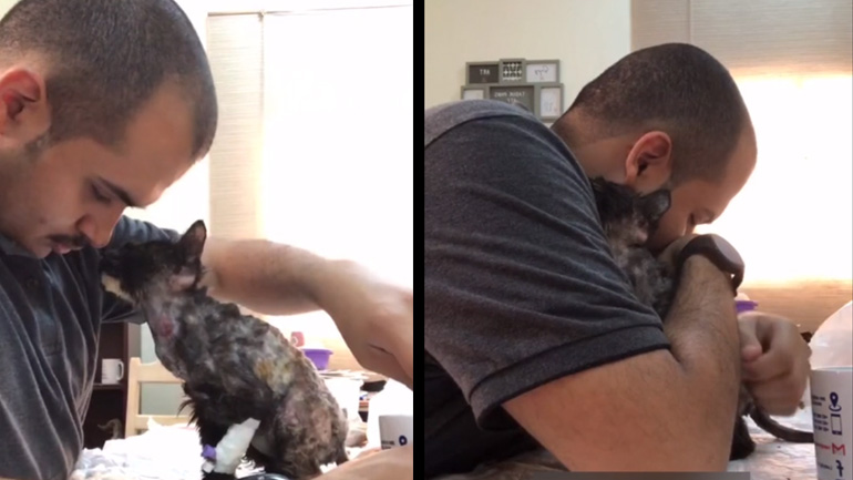 Aδέσποτο γατάκι ευχαριστεί τον κτηνίατρο που το φροντίζει