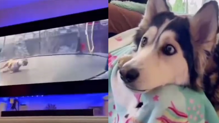 Η διαφήμιση πέτυχε το στόχο της