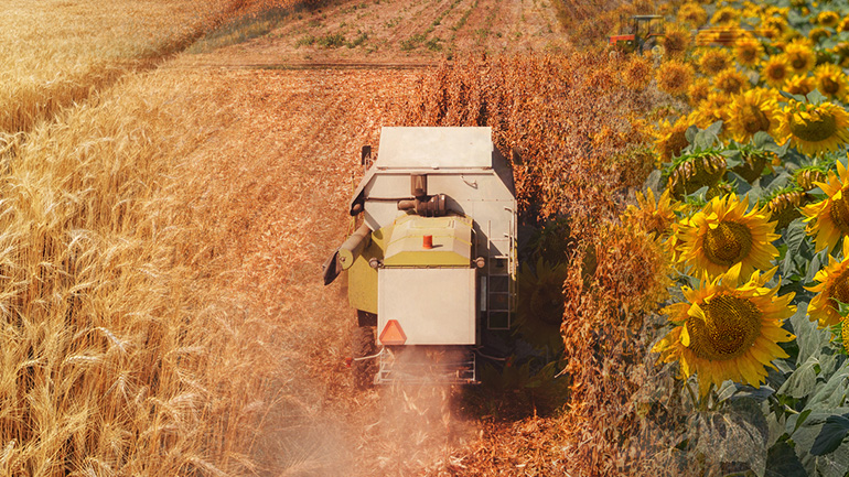 Η κερδοσκοπία στα τρόφιμα με αριθμούς