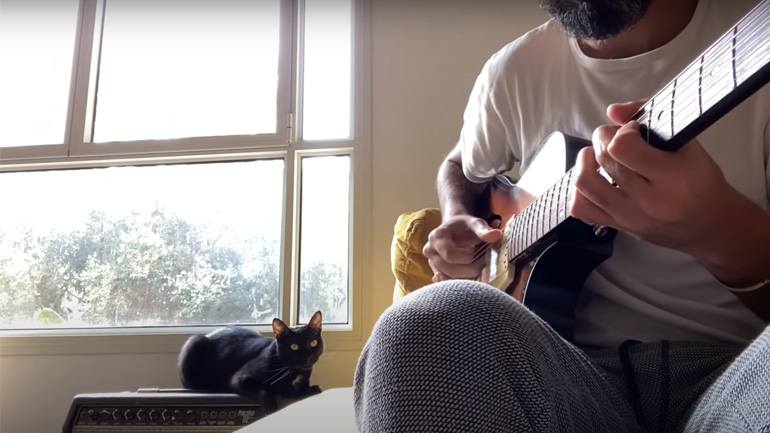 Η γάτα συμμετέχει στο τραγούδι