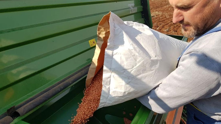 Συνεχίζει και εφέτος αποκλειστικά με ελλινικό κριθάρι η Αθηναϊκή Ζυθοποιία