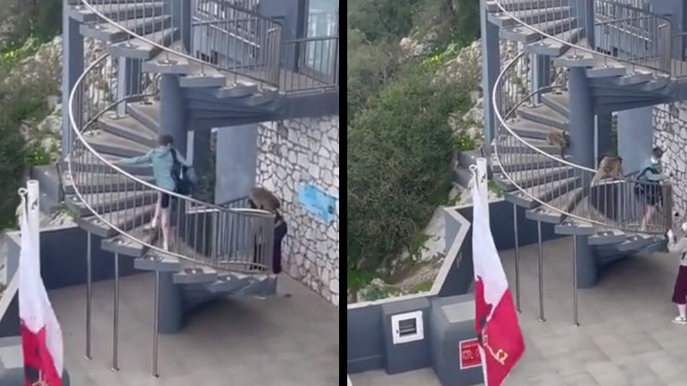 Τουρίστες ληστεύονται από κακοποιούς στο Γιβραλτάρ