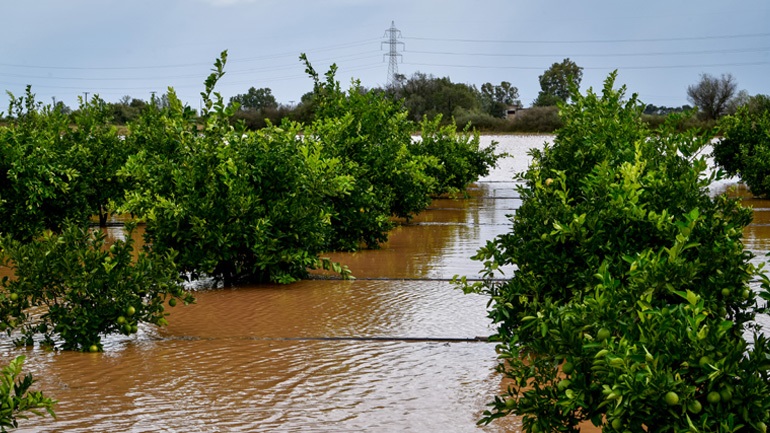 Στην Ιθάκη ο Στυλιανίδης μετά τις καταστροφές του νησιού από τον «Μπάλλο» Στην Ιθάκη ο Στυλιανίδης μετά τις καταστροφές του νησιού από τον «Μπάλλο»