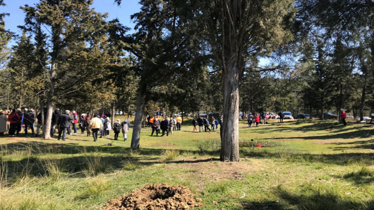 Κατέστρεψαν τα δέντρα που φύτεψαν Ουκρανοί πρόσφυγες στο «Δάσος των Προσφύγων» του δήμου Θέρμης