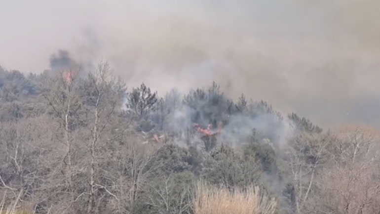 Φωτιά στο Μελιδόνι Ρεθύμνου