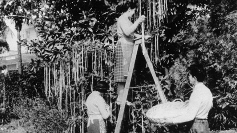 Όλα τα πετυχημένα ψέματα της Πρωταπριλιάς!