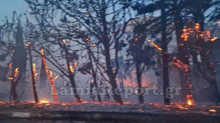 Φθιώτιδα: Κινδύνευσε από πυρκαγιά το ξενοδοχείο «Λεβέντης»