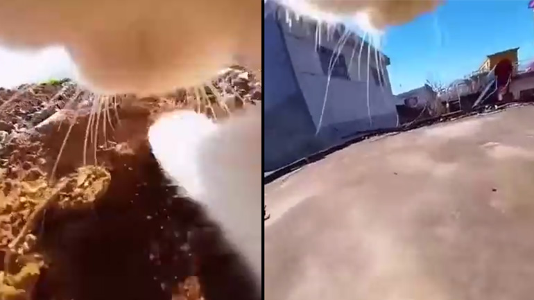 Η ημέρα μιας γάτας 