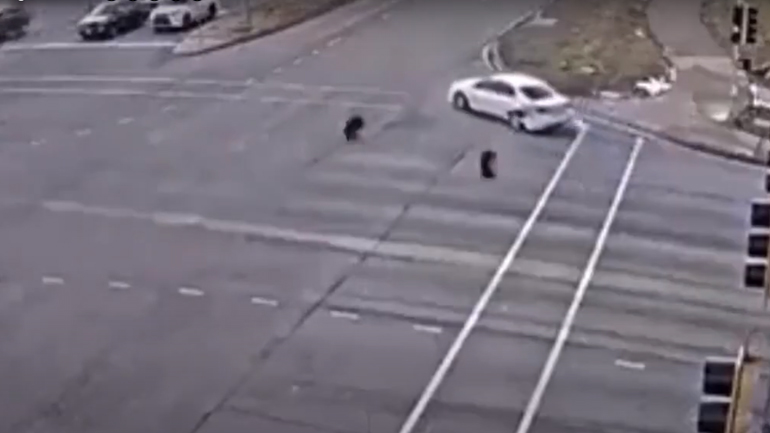 Ο γκαντέμης της χρονιάς (κι ας είναι ακόμα Απρίλιος)