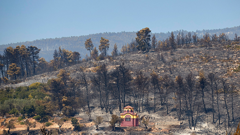 ΟΦΥΠΕΚΑ: Κόμβος για τις επιπτώσεις των δασικών πυρκαγιών και την απώλεια βιοποικιλότητας