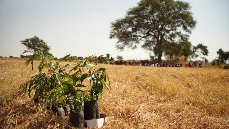 Δενδροφύτευση στη μνήμη των θυμάτων από τη γενοκτονία των Ποντίων από τον Δήμο Ελληνικού-Αργυρούπολης