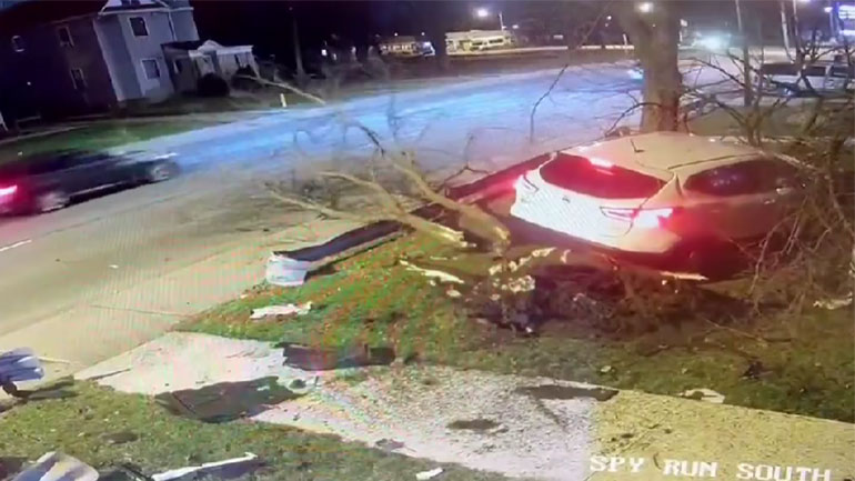 Δέντρο εναντίον αυτοκινήτου