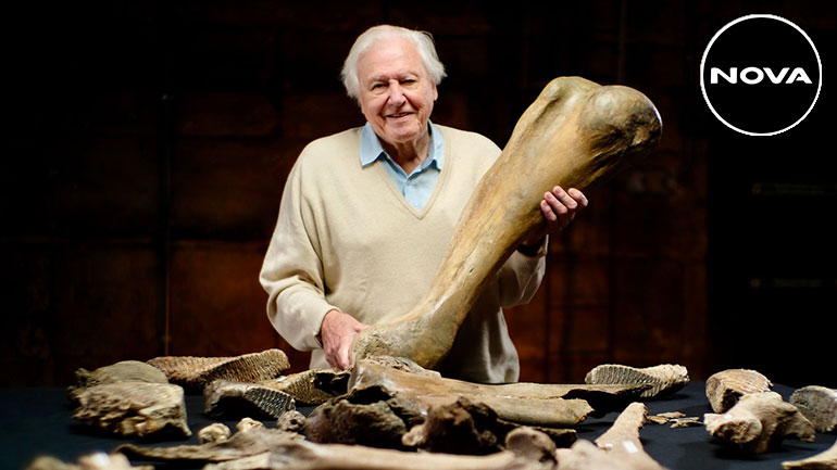 Η Nova εμπλουτίζει περαιτέρω το πλούσιο περιεχόμενό της