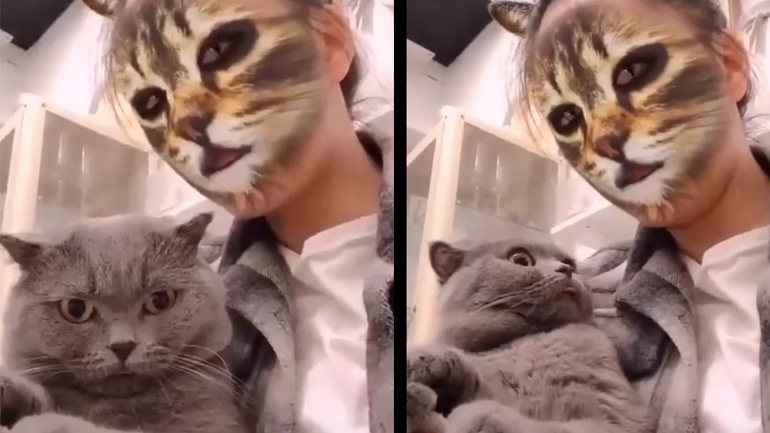 Με γελούν τα μάτια μου;