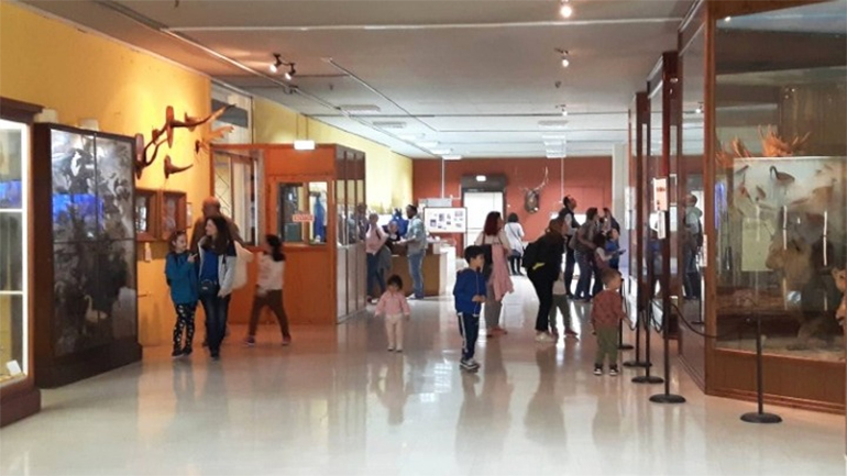 Το Μουσείο Ζωολογίας του ΕΚΠΑ ανοίγει τις πόρτες του το Σαββατοκύριακο