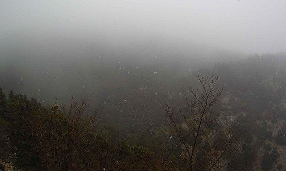 Νιφάδες χιονιού στην Πάρνηθα το μεσημέρι της Δευτέρας! Νιφάδες χιονιού στην Πάρνηθα το μεσημέρι της Δευτέρας!