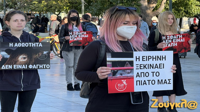 Σύνταγμα: Διαμαρτυρία κατά της σφαγής των αμνών