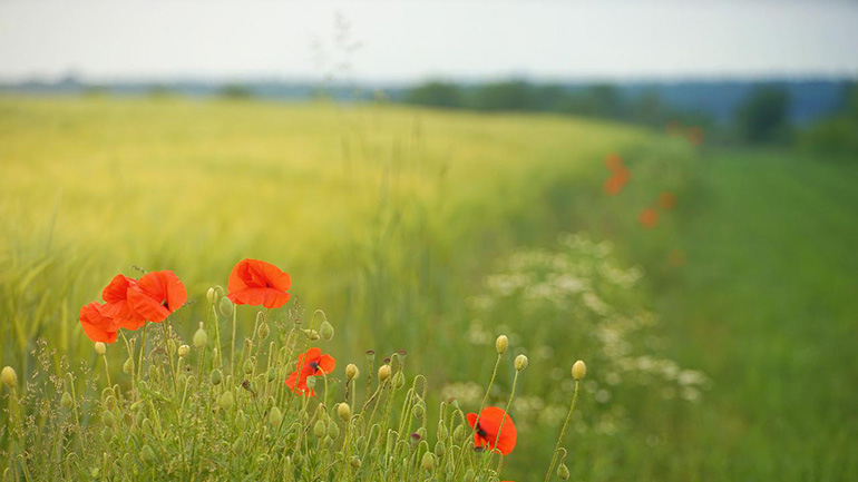 Πολύ καλές οι καιρικές συνθήκες το Πάσχα, με μικρή άνοδο της θερμοκρασίας
