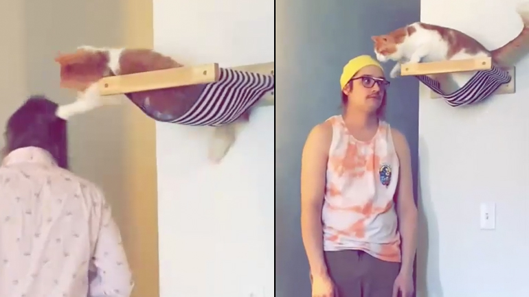 Αυτόματος μηχανισμός για την αφαίρεση σκούφου