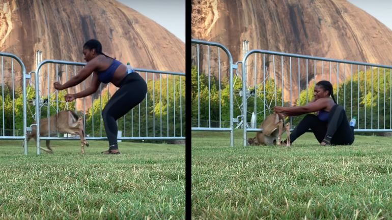 Διάσωση ενός μικρού ελαφιού