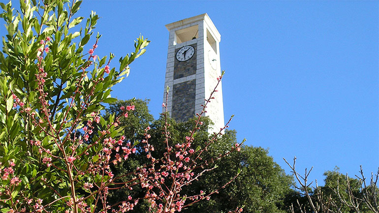 Ο Μάης άνθισε στη Βαμβακού Λακωνίας