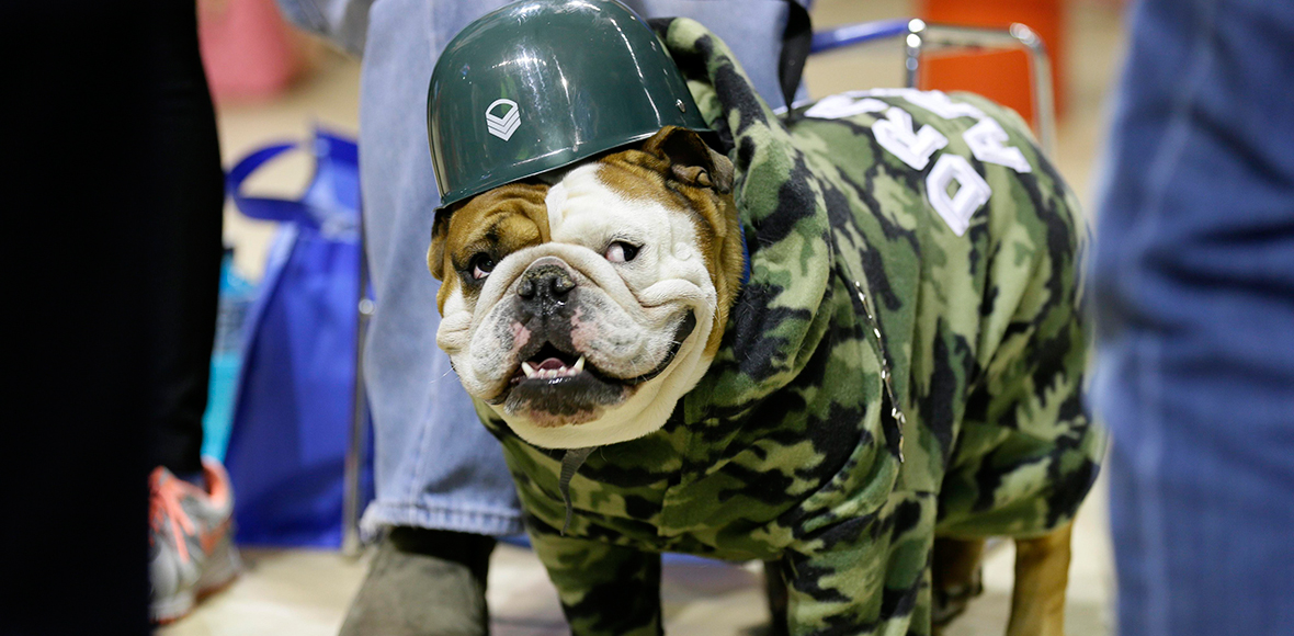 Ασορτί με την επικαιρότητα