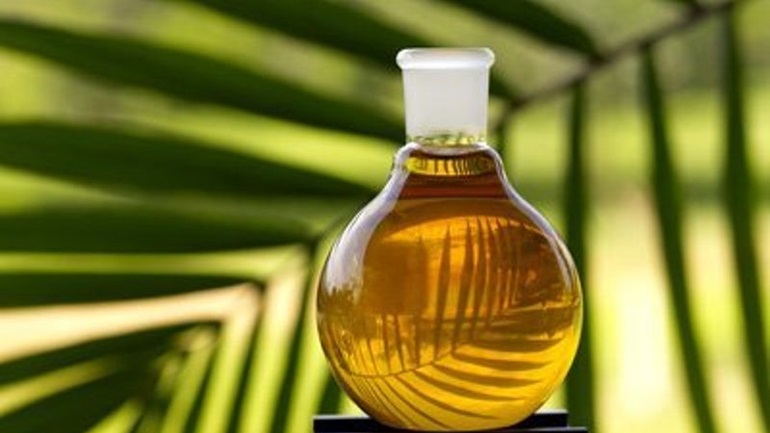 Ινδονησία: Η χώρα απαγόρευσε όλες τις εξαγωγές φοινικέλαιου