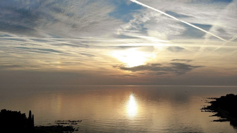 Τα θαλάσσια είδη απειλούνται με μαζική εξαφάνιση εάν δεν αντιμετωπιστεί η υπερθέρμανση του πλανήτη