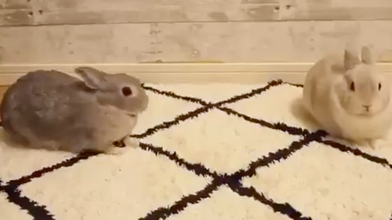 Πώς να πλησιάσεις ένα κορίτσι με τρόπο