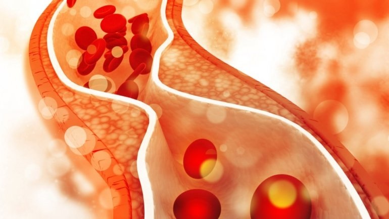 Τα δύο θρεπτικά συστατικά που κάνουν τα αιμοφόρα αγγεία πιο ελαστικά