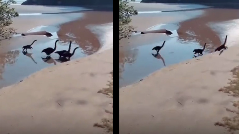 Οι δεινόσαυροι στη Γη