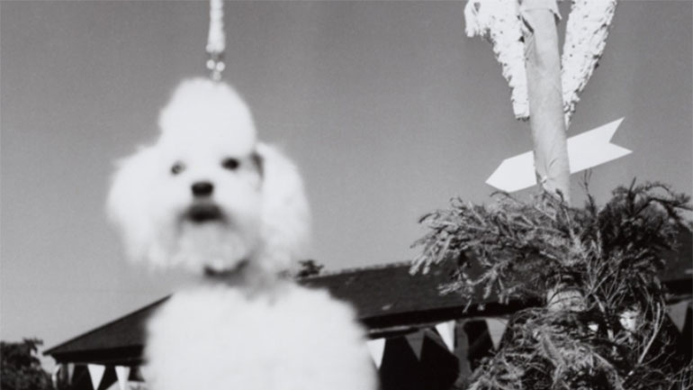 Λεύκωμα φέρνει εκ νέου στο προσκήνιο τη φωτογράφο Barbara Niggl Radloff