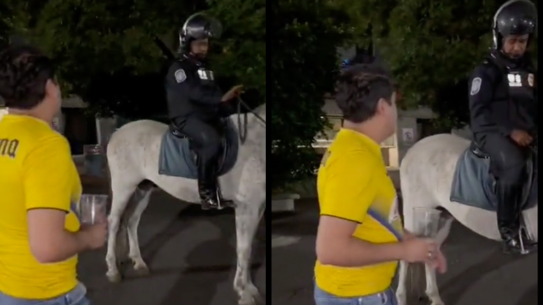 Μπορώ να το χαϊδέψω;