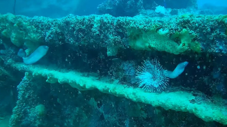 Εξερεύνηση ναυαγίου με υποβρύχιο drone